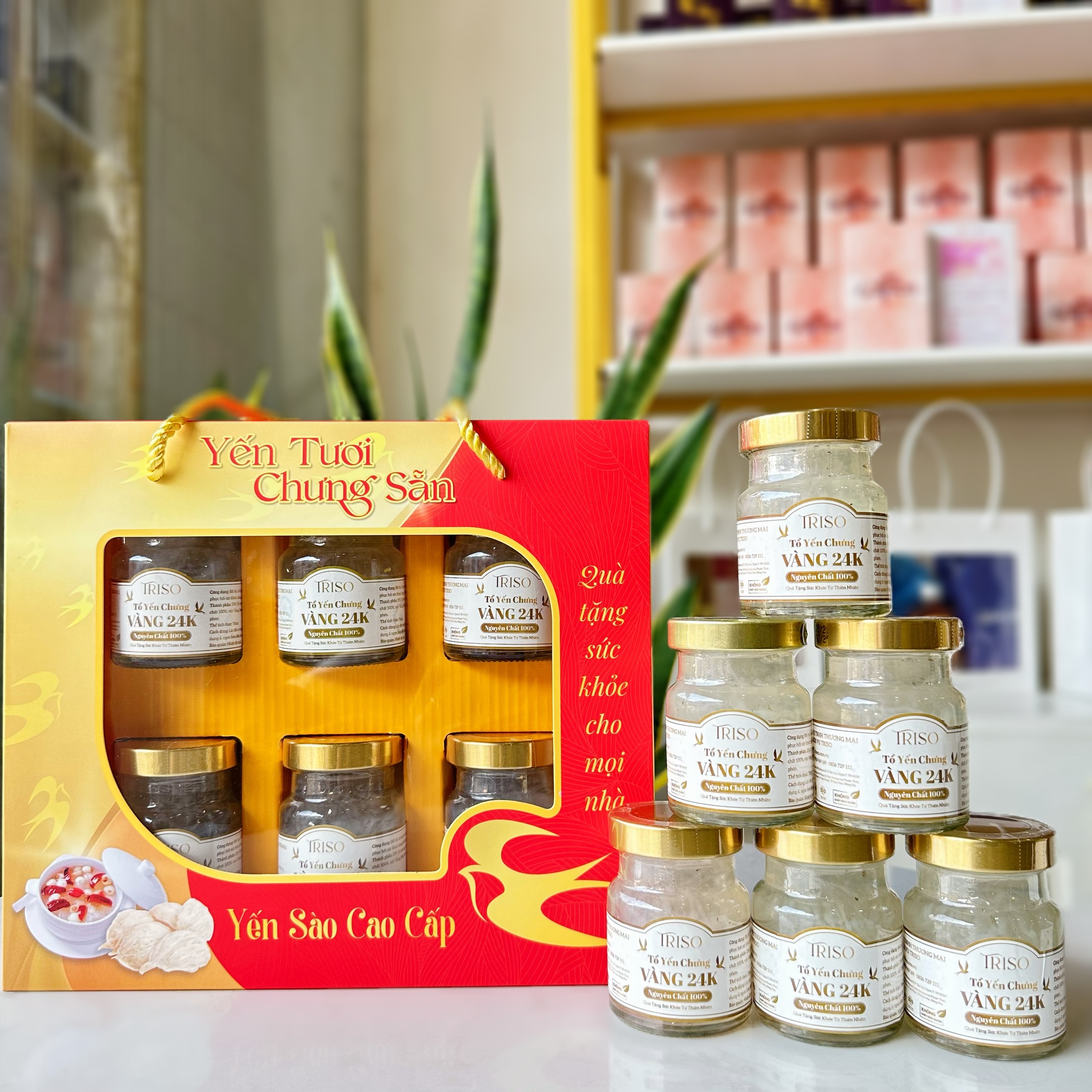 SET 6 Hũ Yến Chưng Lá Vàng 24K [25% Yến]