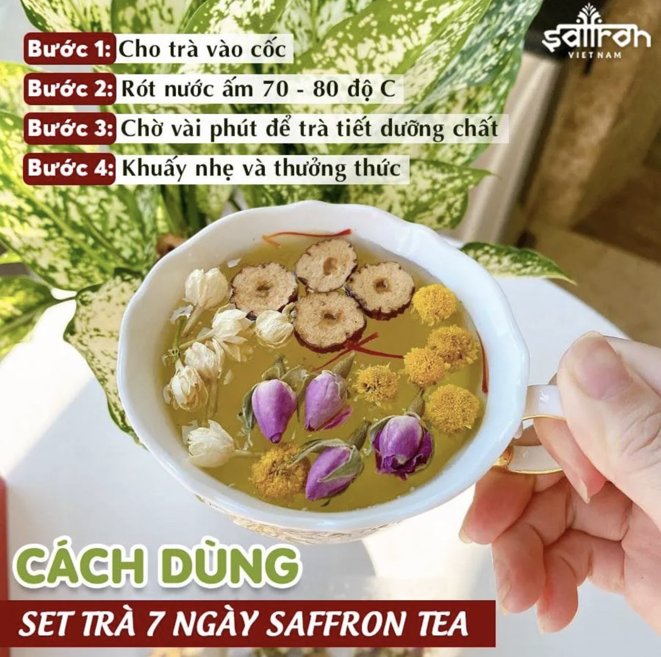Set quà có hoa #5 - Qùa tặng sức khỏe