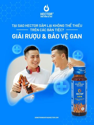 HỘP QUÀ TẾT JAMIE #5 [ Rượu vang Chile 750ml + Sâm đông trùng hạ thảo + Hạt điều + Trà ]